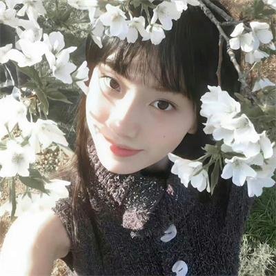 借借妳人生
